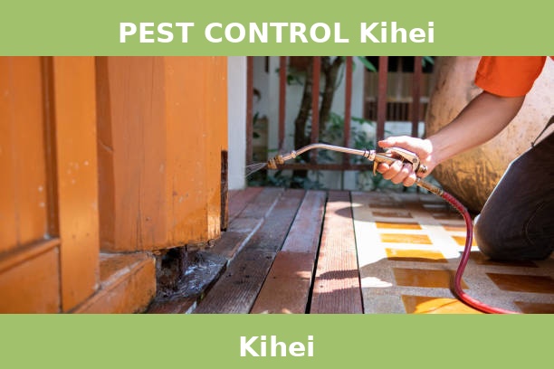 PEST CONTROL Kihei